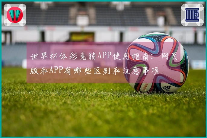 世界杯体彩竞猜APP使用指南：网页版和APP有哪些区别和注意事项